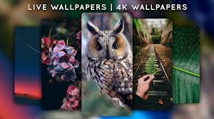 4K Wallpapers MOD APK (Premium Unlocked)